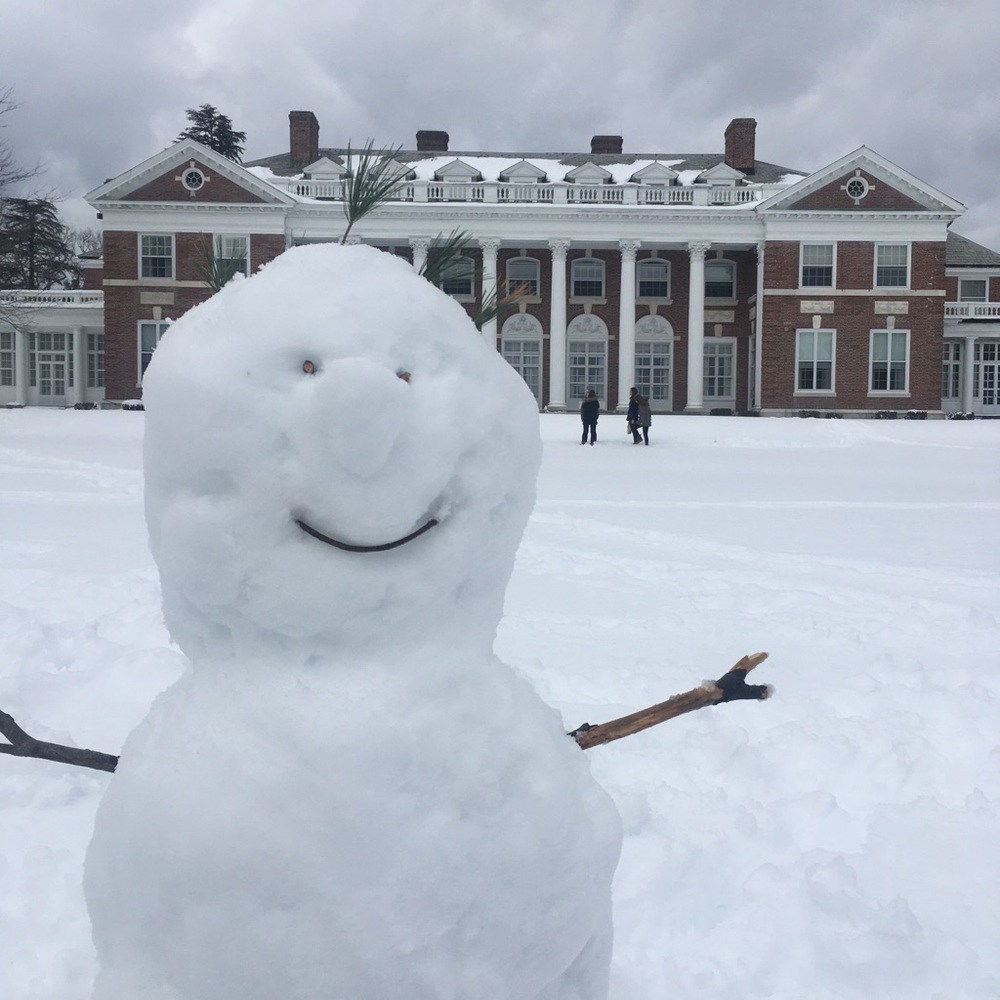 Meet your Posher, Lauren